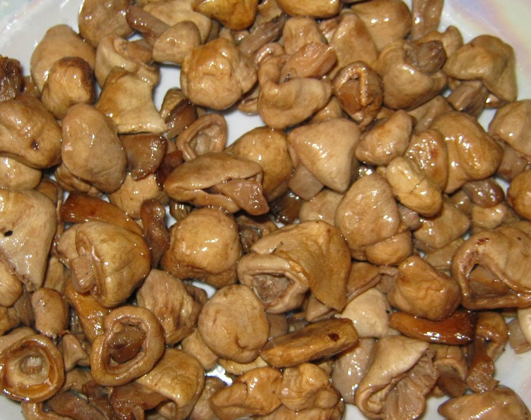 простые салаты с грибами
