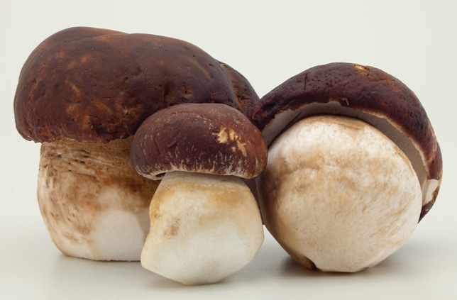 Сушка грибов в домашних условиях